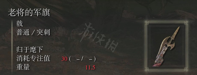 《艾爾登法環》老將的軍旗屬性怎麽樣?老將的軍旗屬性介紹 《艾爾登法環》老將的軍旗屬性怎麽樣?老將的軍旗屬性介紹