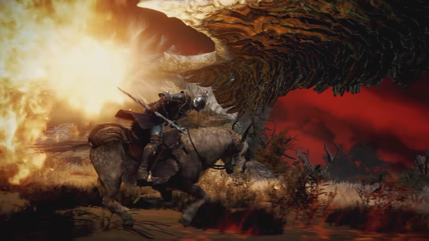 艾爾登法環遊戲背景有什麽劇情故事 艾爾登法環遊戲背景有什麽劇情故事