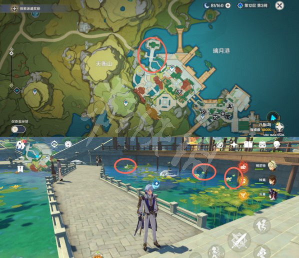 《原神》有香自西來第二天材料收集 有香自西來第二天材料位置 《原神》有香自西來第二天材料收集 有香自西來第二天材料位置