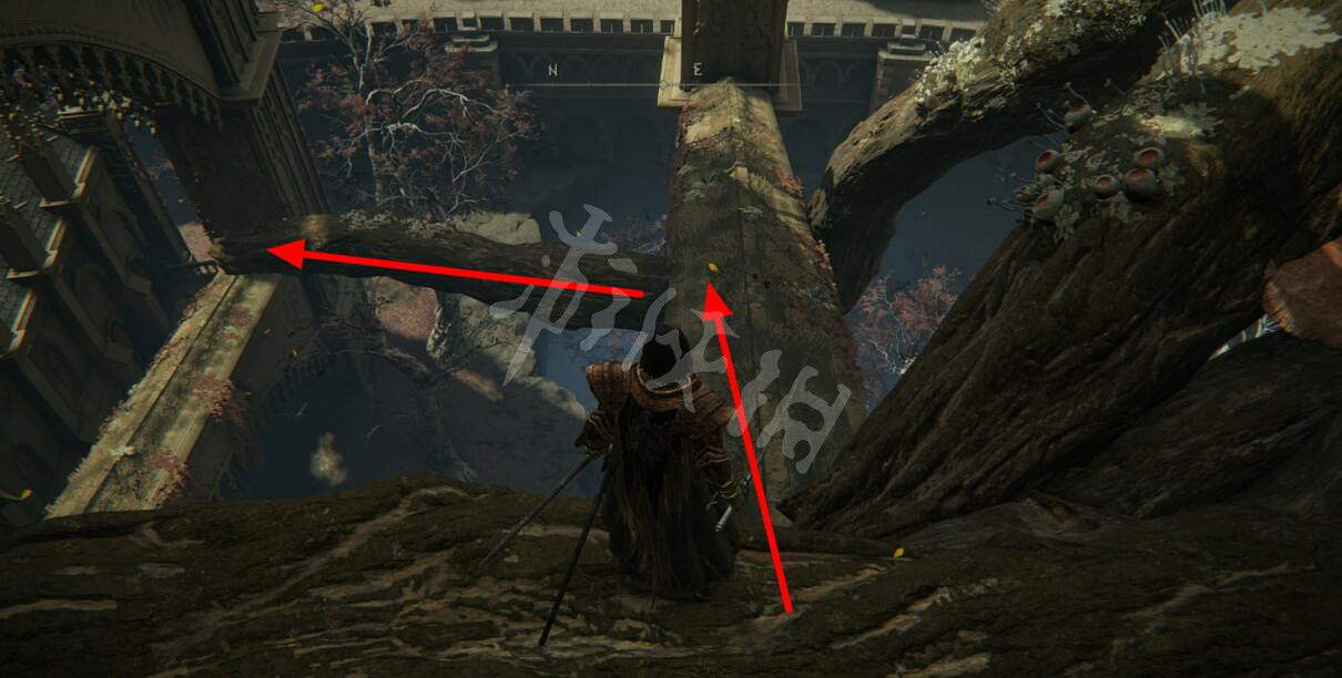 《艾爾登法環》聖樹紋大盾在哪刷？聖樹紋大盾獲取路線介紹