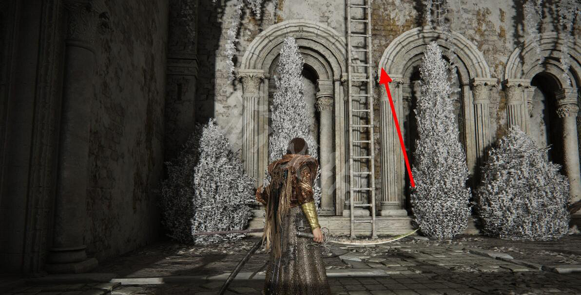 《艾爾登法環》龍塔盾位置及屬性介紹 龍塔盾在哪刷？