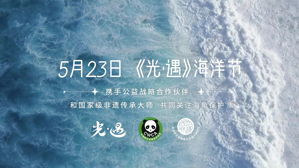 聚焦海龜公益 珍藏美好相遇!網易《光·遇》520發布 聚焦海龜公益 珍藏美好相遇!網易《光·遇》520發布