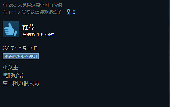 關於我從星露谷轉生到異世界當女巫這件事