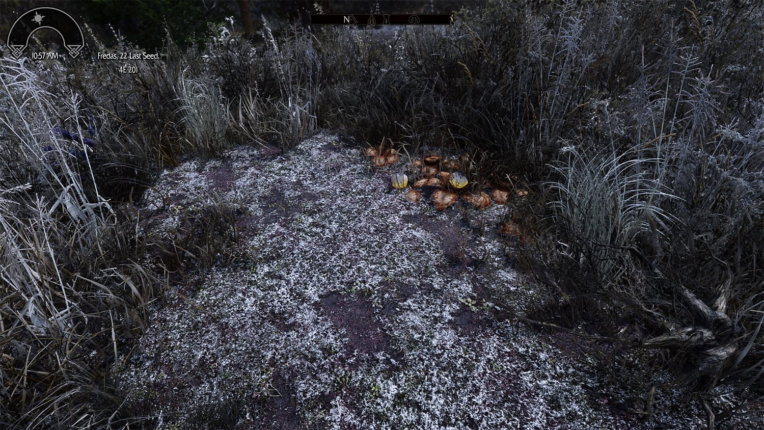 妥妥次世代！《上古卷軸5》全新「景觀」高清材質包發布