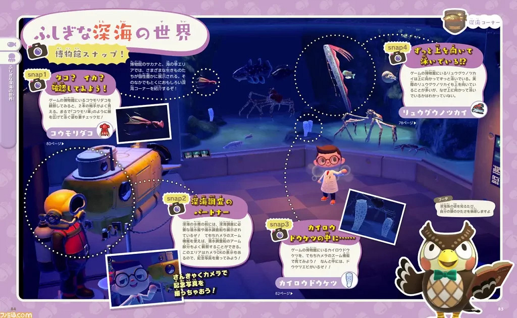 寓教於樂!《動物森友會》將在日本推出百科全書! 寓教於樂!《動物森友會》將在日本推出百科全書!