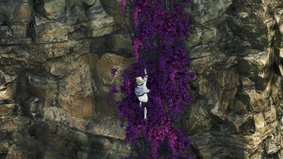 NS新聞 鍊金工房25周年特賣 日服NS同樂會公布 NS新聞 鍊金工房25周年特賣 日服NS同樂會公布