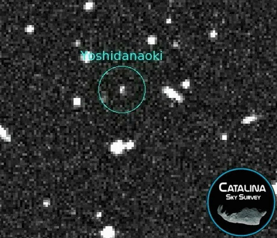 真愛粉！國外粉絲將自己命名權小行星命名為吉田直樹