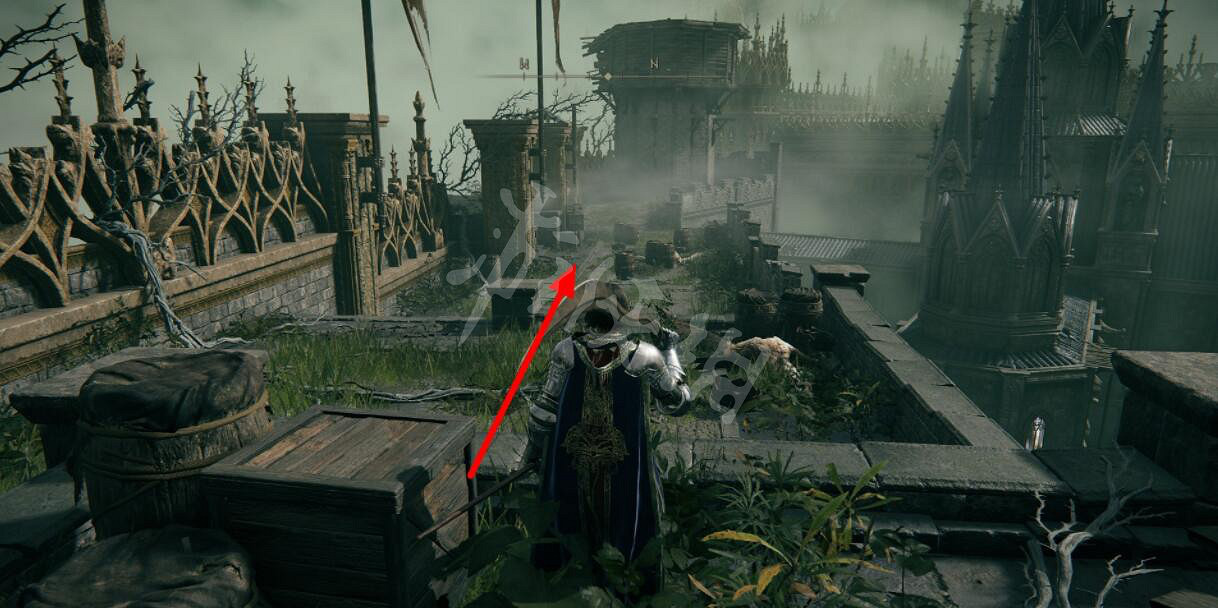 《艾爾登法環》侵蝕木盾在哪拿？侵蝕木盾獲取路線分享