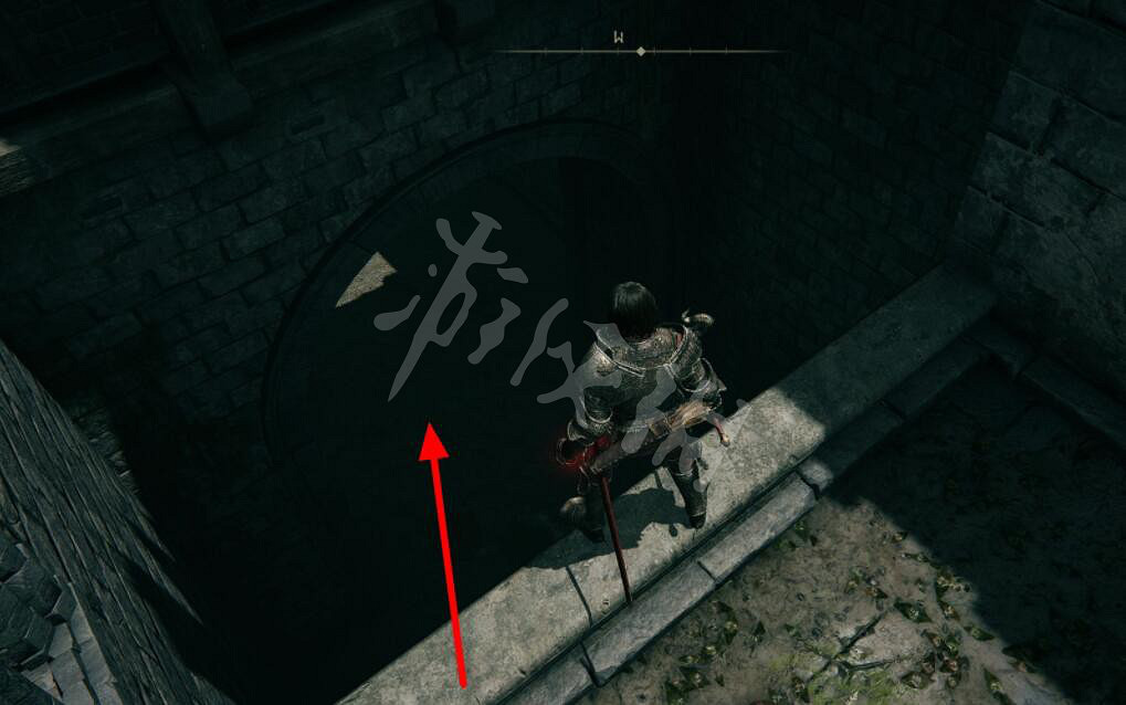 《艾爾登法環》鷹紋木盾怎麽獲得？鷹紋木盾獲取路線