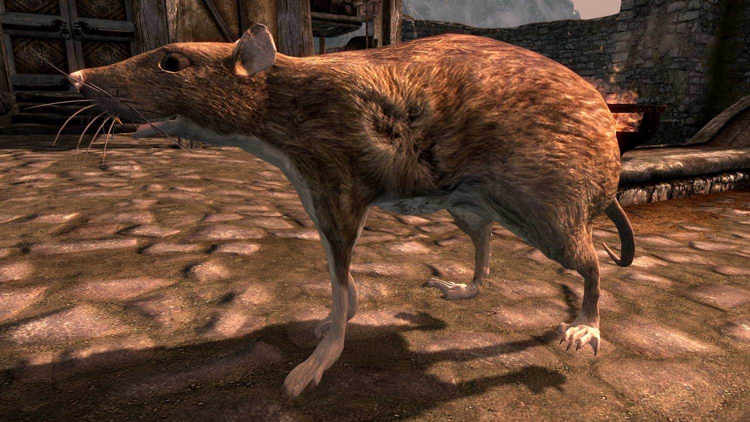 碩鼠碩鼠 無食我黍！《上古卷軸V：無界天際》巨鼠同伴MOD