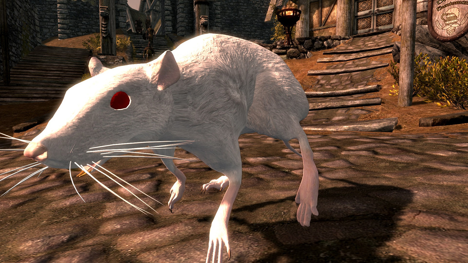 碩鼠碩鼠 無食我黍！《上古卷軸V：無界天際》巨鼠同伴MOD