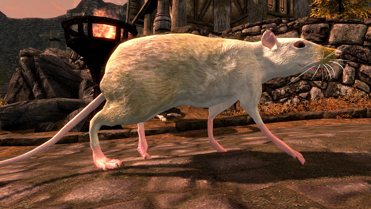 碩鼠碩鼠 無食我黍！《上古卷軸V：無界天際》巨鼠同伴MOD