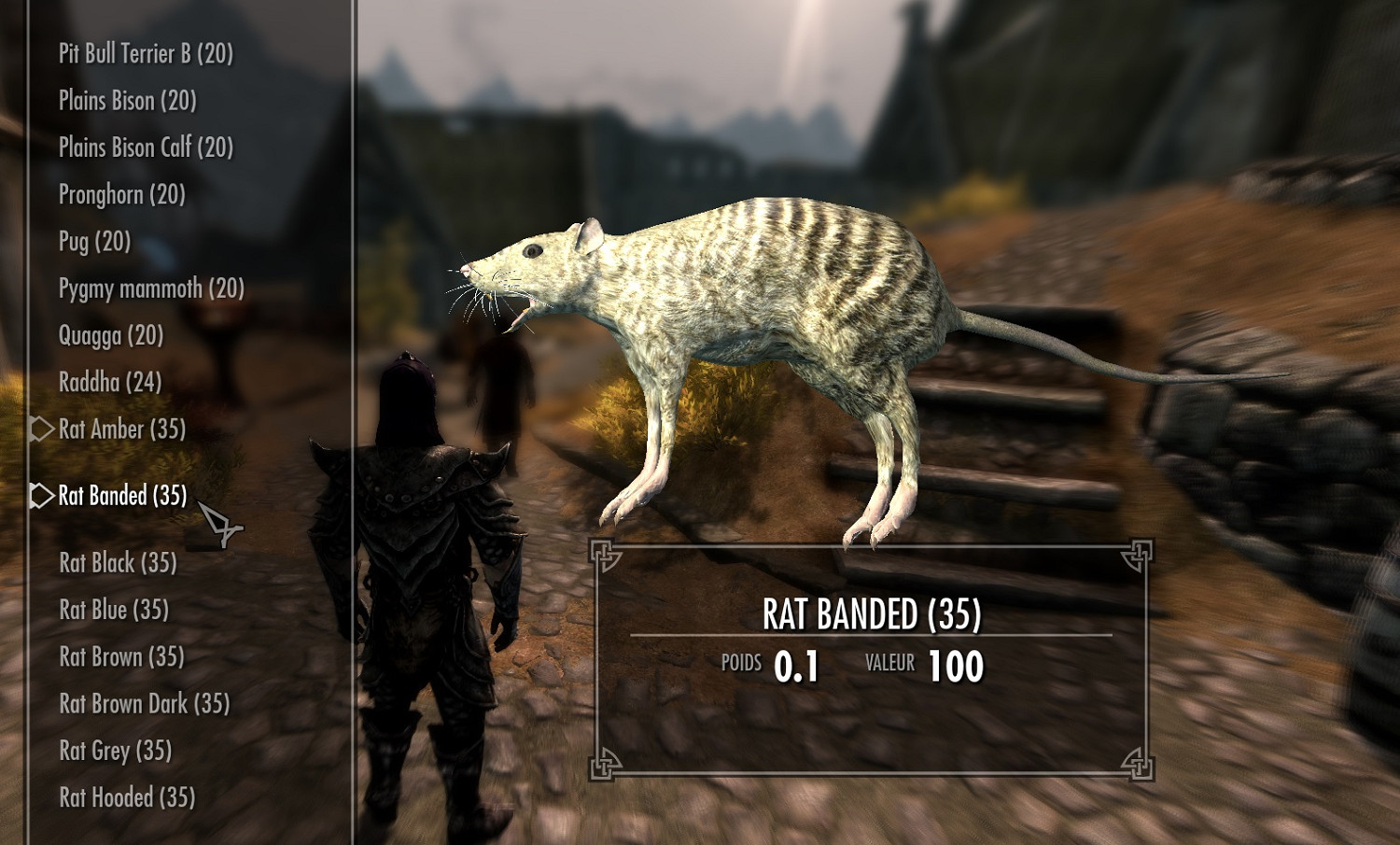 碩鼠碩鼠 無食我黍！《上古卷軸V：無界天際》巨鼠同伴MOD