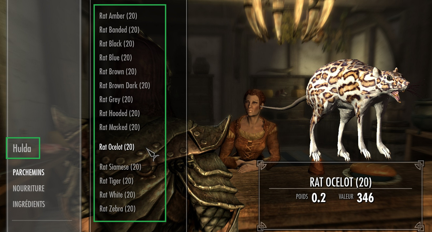 碩鼠碩鼠 無食我黍！《上古卷軸V：無界天際》巨鼠同伴MOD