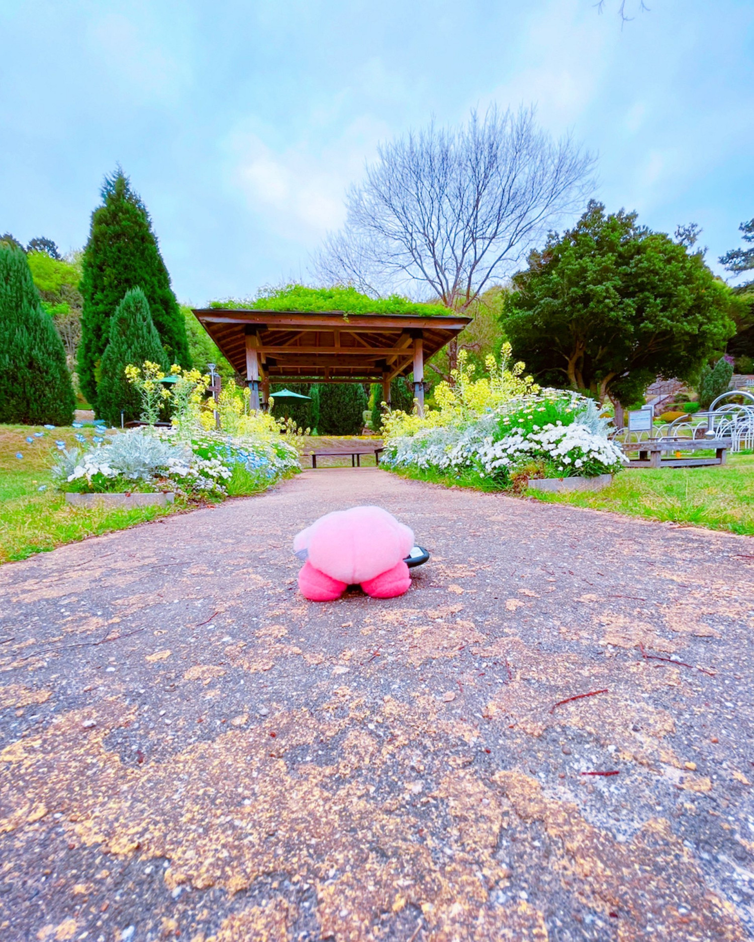 警惕粉色惡魔的入侵 星之卡比狂熱粉絲的周邊收藏秀