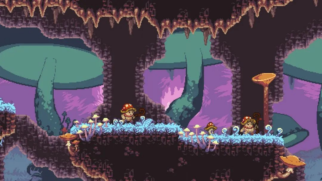 NS每日新聞 怪物聖所更新預告 星露谷試玩同樂會 NS每日新聞 怪物聖所更新預告 星露谷試玩同樂會