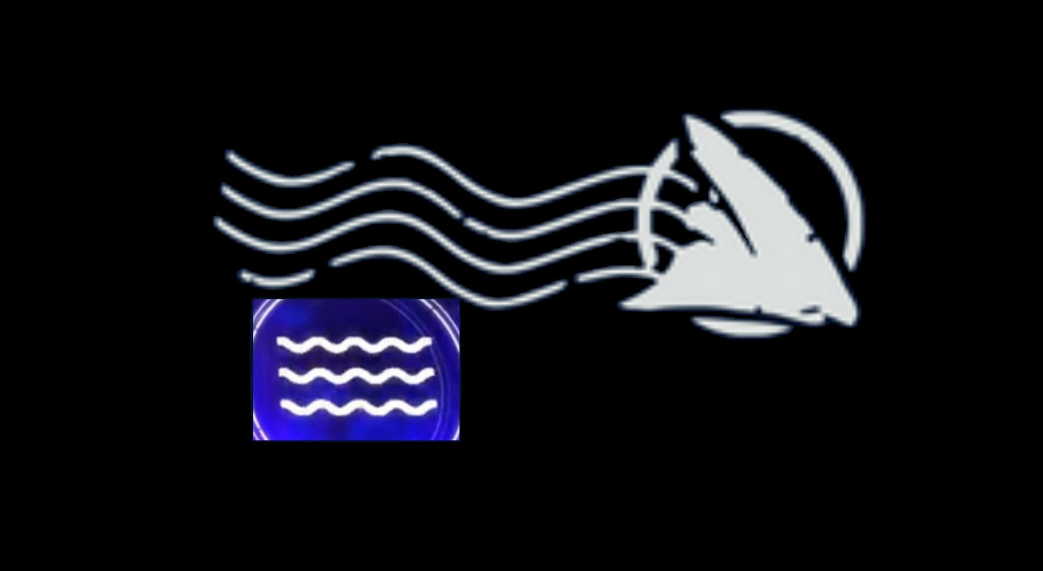 Epic神秘喜加一最終線索發布!可能要送好評鯊魚遊戲 Epic神秘喜加一最終線索發布!可能要送好評鯊魚遊戲