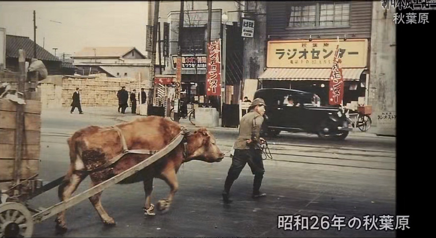 二次元的秋葉原還有純愛，在現實中卻變成了風俗街