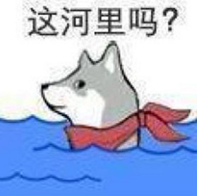 蒙眼通關塞爾達?聊聊速通玩家的神操作 蒙眼通關塞爾達?聊聊速通玩家的神操作