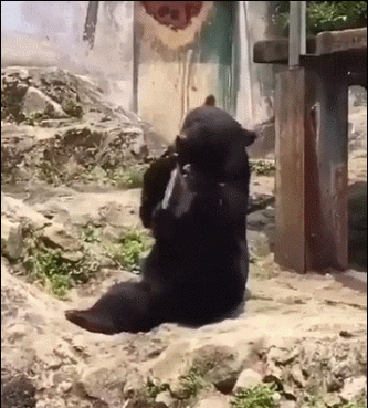 拯救失足少女結果自己下海 動圖 大爺上年紀了體力依舊 拯救失足少女結果自己下海 動圖 大爺上年紀了體力依舊