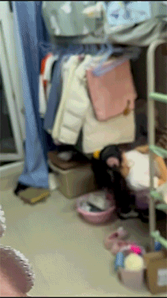 拯救失足少女結果自己下海 動圖 大爺上年紀了體力依舊 拯救失足少女結果自己下海 動圖 大爺上年紀了體力依舊