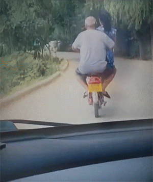 拯救失足少女結果自己下海 動圖 大爺上年紀了體力依舊 拯救失足少女結果自己下海 動圖 大爺上年紀了體力依舊