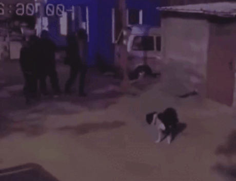 拯救失足少女結果自己下海 動圖 大爺上年紀了體力依舊 拯救失足少女結果自己下海 動圖 大爺上年紀了體力依舊