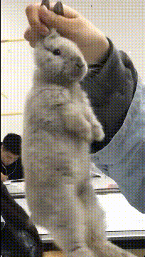 拯救失足少女結果自己下海 動圖 大爺上年紀了體力依舊 拯救失足少女結果自己下海 動圖 大爺上年紀了體力依舊