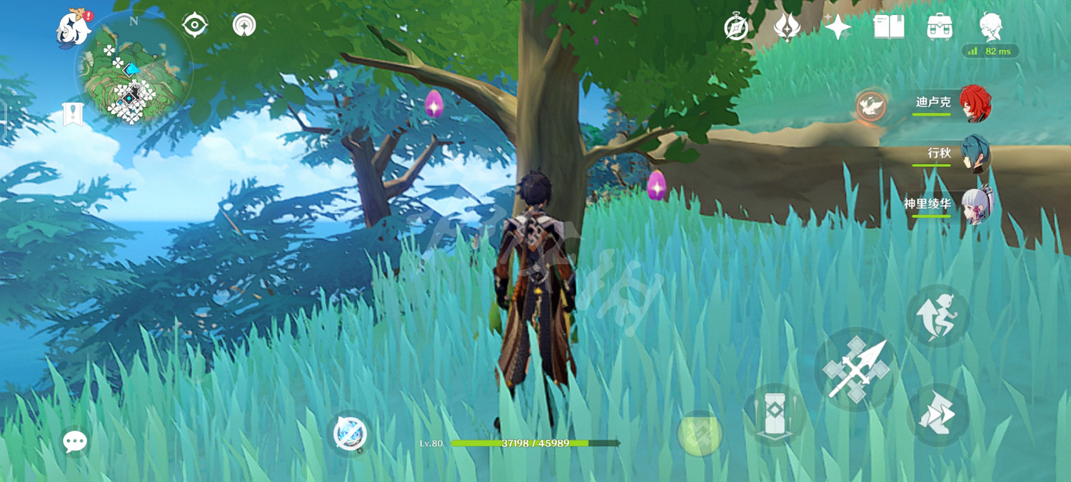 《原神》稻妻木頭有幾種？稻妻木頭分辨方法介紹