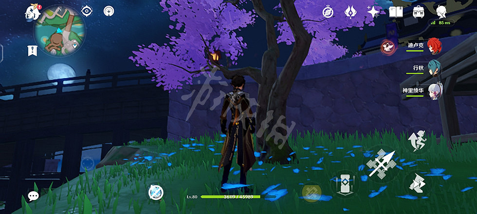 《原神》稻妻木頭有幾種？稻妻木頭分辨方法介紹