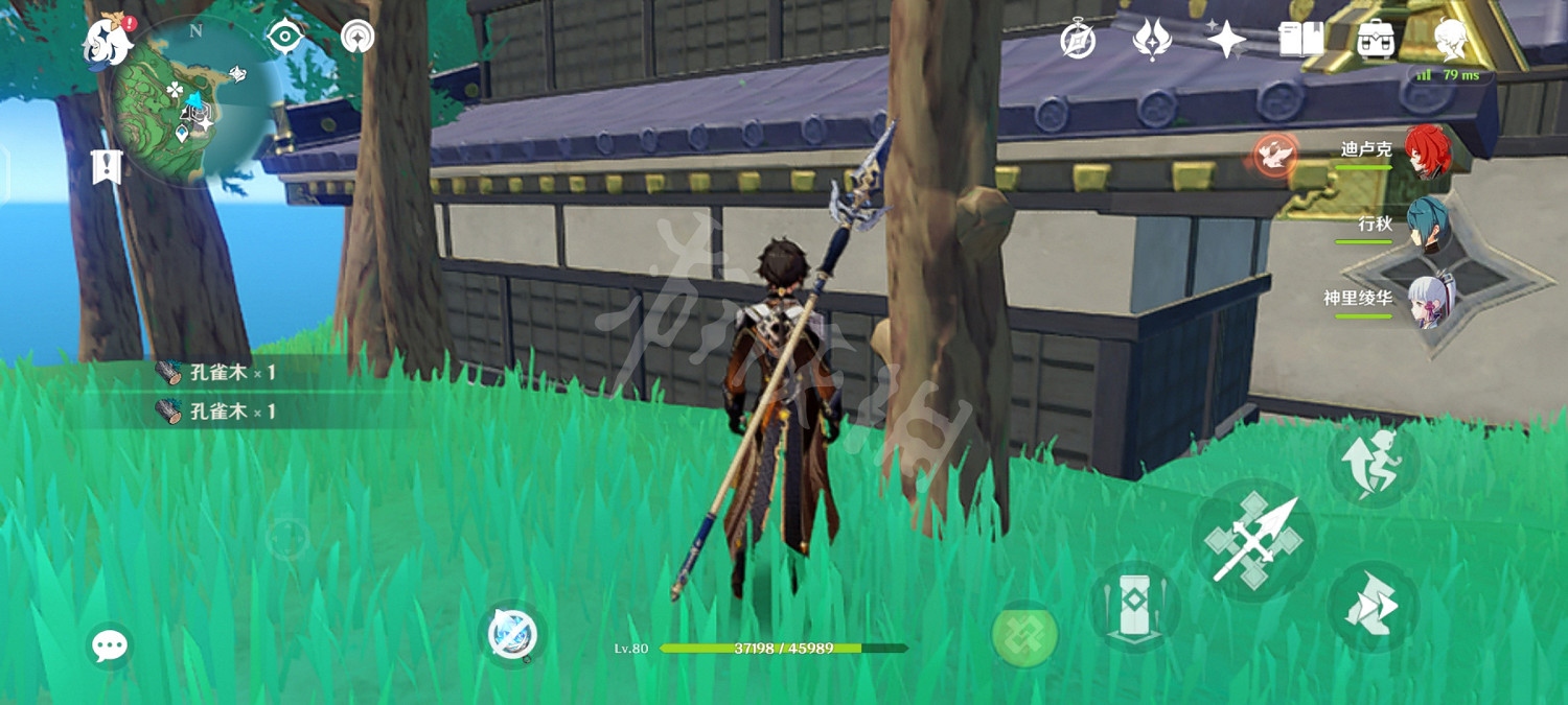 《原神》稻妻木頭有幾種？稻妻木頭分辨方法介紹