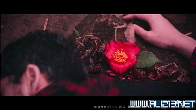 《春逝百年抄》全章節線索推理流程圖文攻略 結局有幾個？【完結】