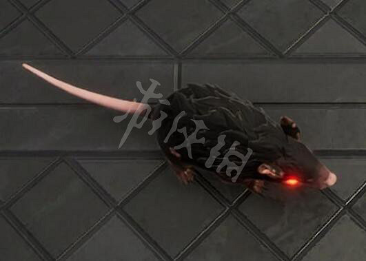 《吸血鬼崛起》V Rising老鼠型態獲得方法 老鼠形態怎麽獲得? 《吸血鬼崛起》V Rising老鼠型態獲得方法 老鼠形態怎麽獲得?