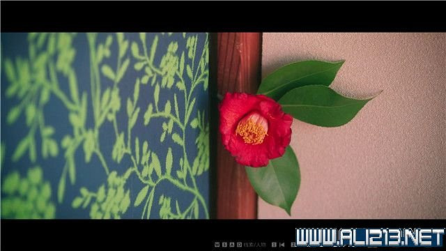 《春逝百年抄》全章節線索推理流程圖文攻略 結局有幾個？【完結】