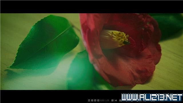 《春逝百年抄》全章節線索推理流程圖文攻略 結局有幾個？【完結】