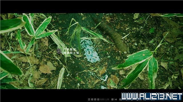 《春逝百年抄》全章節線索推理流程圖文攻略 結局有幾個？【完結】