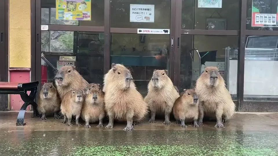 NS每日新聞 火焰紋章新作畫面泄露 死神或有新遊戲 NS每日新聞 火焰紋章新作畫面泄露 死神或有新遊戲