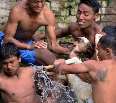 在最萌的畫風裡，當最邪門的傳教士-咩咩啟示錄試玩