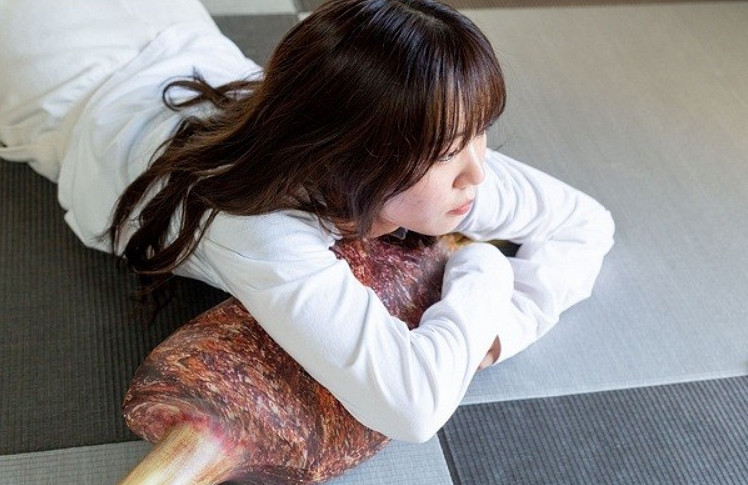 807元!《怪獵》“烤肉”多用抱枕:喜歡熟肉還是生肉? 807元!《怪獵》“烤肉”多用抱枕:喜歡熟肉還是生肉?