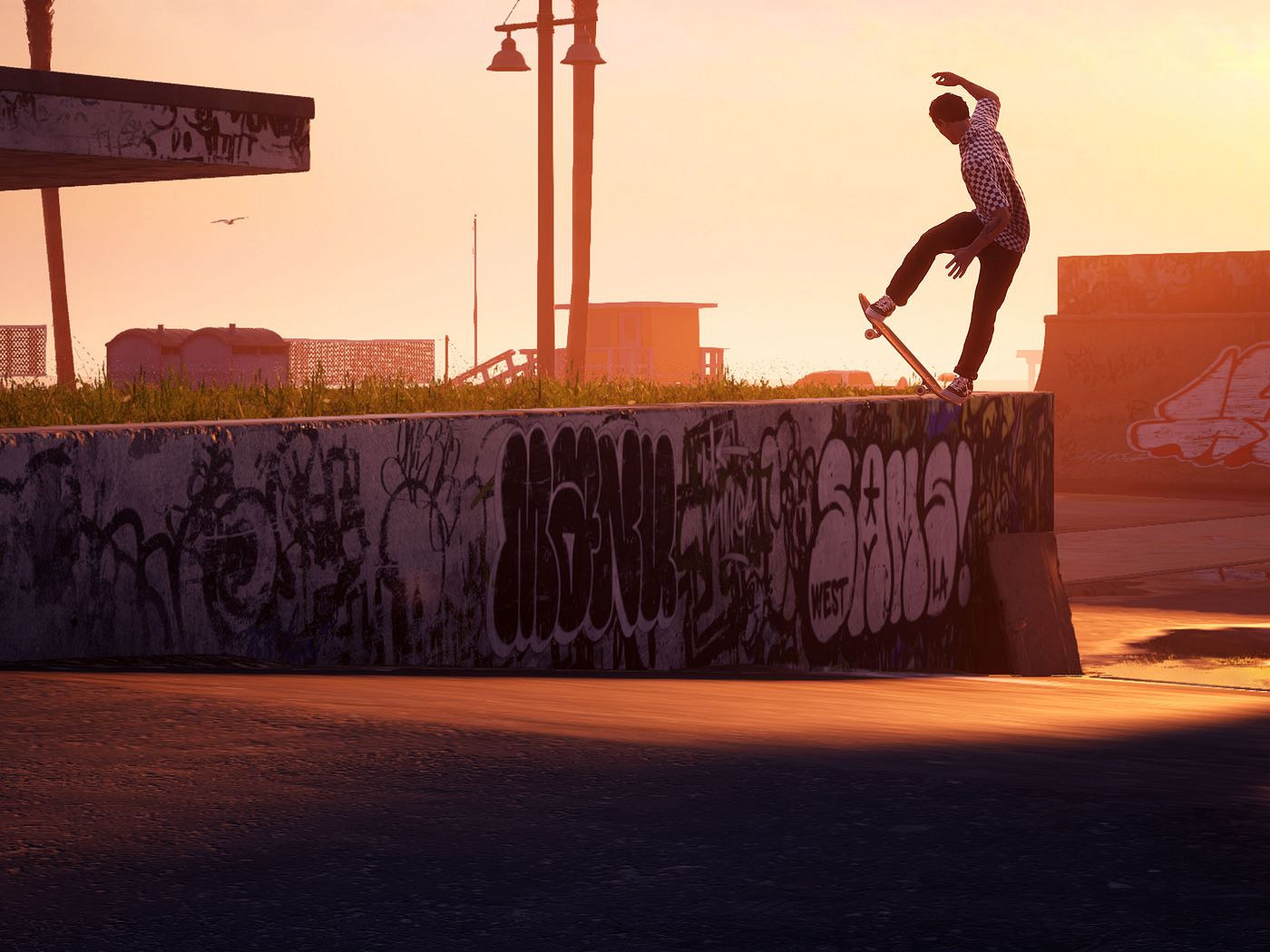 不信任！《托尼霍克職業滑板3+4重製合集》慘遭擱置