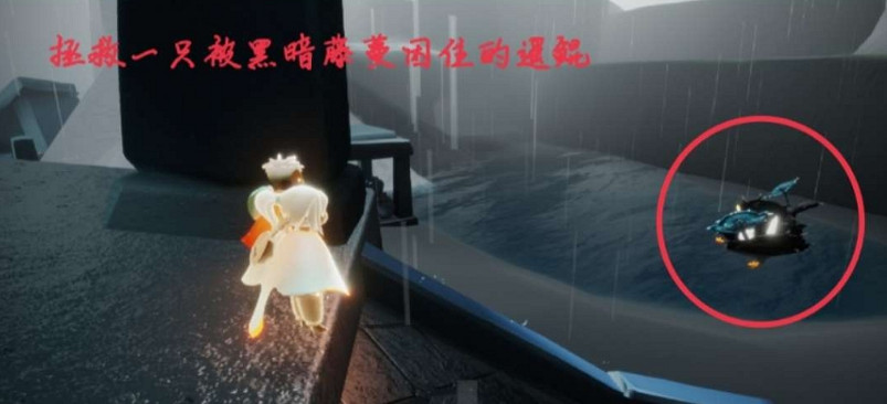 《光遇》6.22任務怎麽做 每日任務6月22日攻略