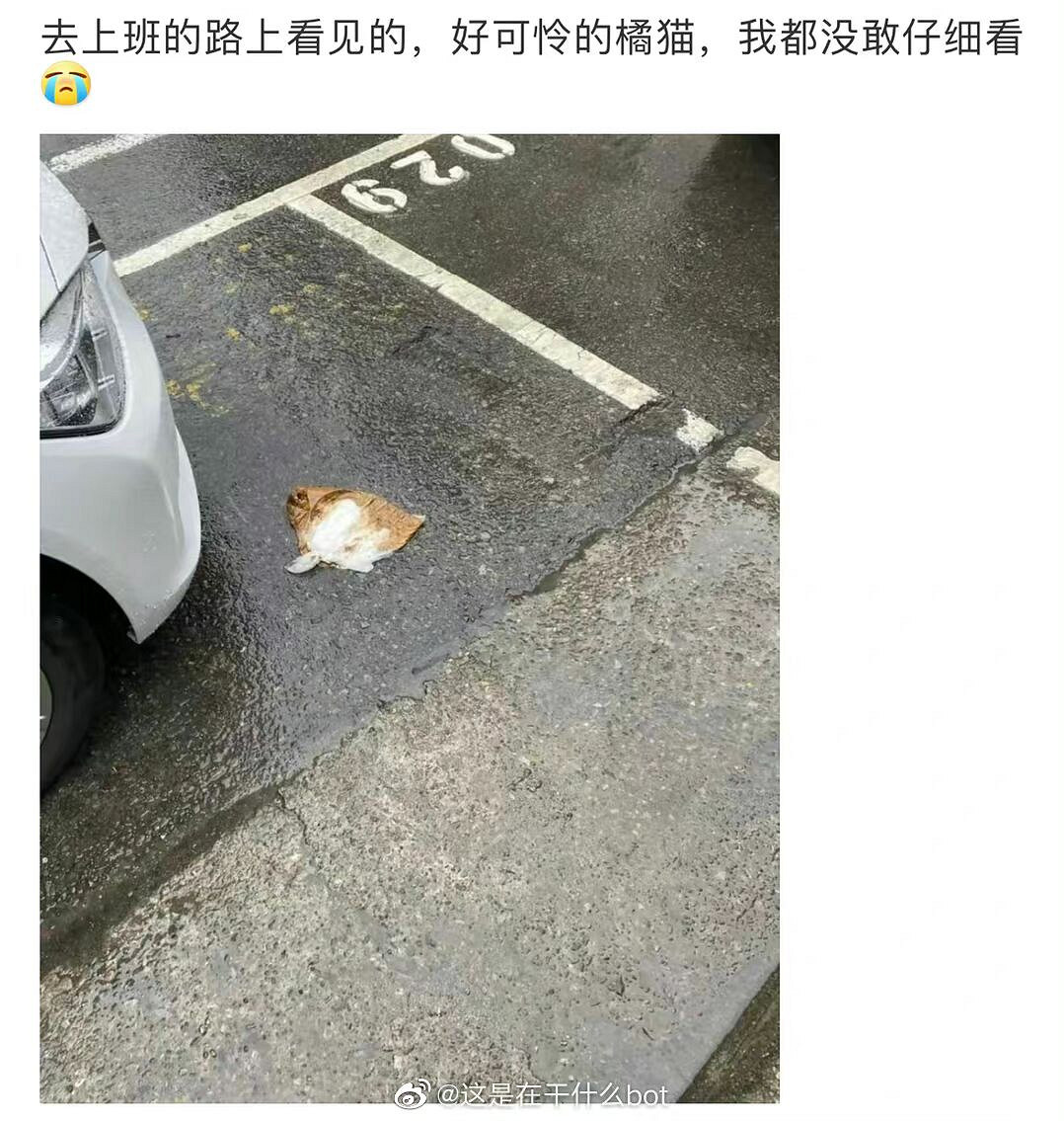 小夥紙你很有想法來警局喝喝茶 囧圖 以德服人物理 小夥紙你很有想法來警局喝喝茶 囧圖 以德服人物理