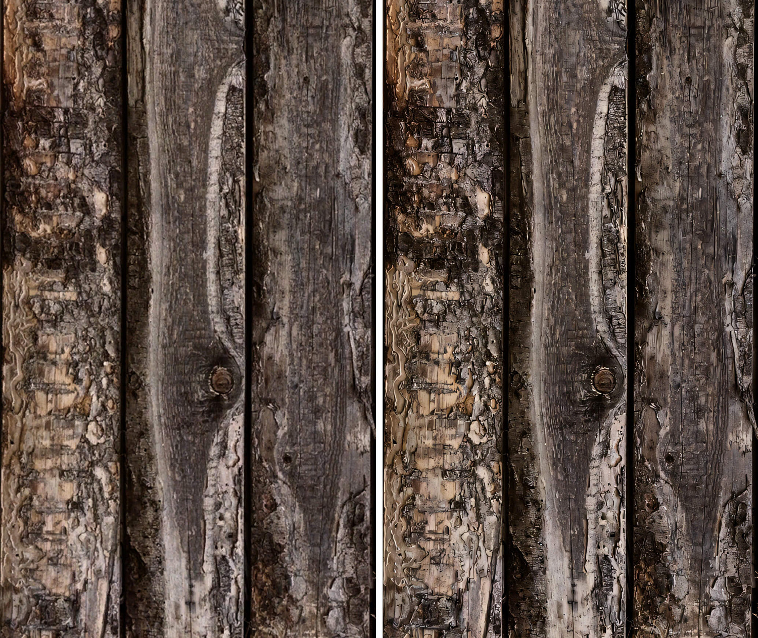 畫質大提升！《上古卷軸5:天際》最新4K/8K材質包合集