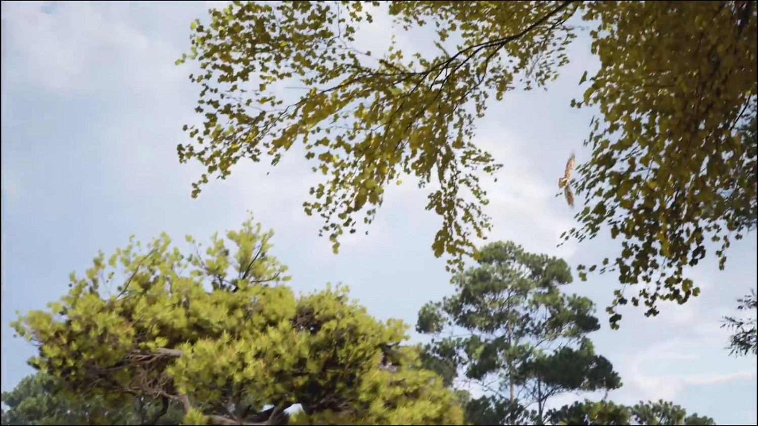 騰訊光子工作室武俠新作預告:開放世界 虛幻5引擎打造 騰訊光子工作室武俠新作預告:開放世界 虛幻5引擎打造