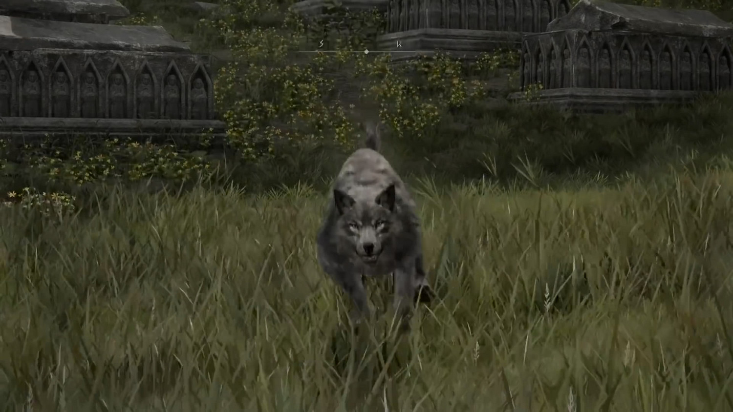 三狗屠薪王?為什麽我老是被《艾爾登法環》的「狗」咬死 三狗屠薪王?為什麽我老是被《艾爾登法環》的「狗」咬死