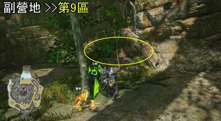 《魔物獵人崛起》曙最後一戰境生物怎麽用?密林副營地位置及環境生物使用 《魔物獵人崛起》曙最後一戰境生物怎麽用?密林副營地位置及環境生物使用