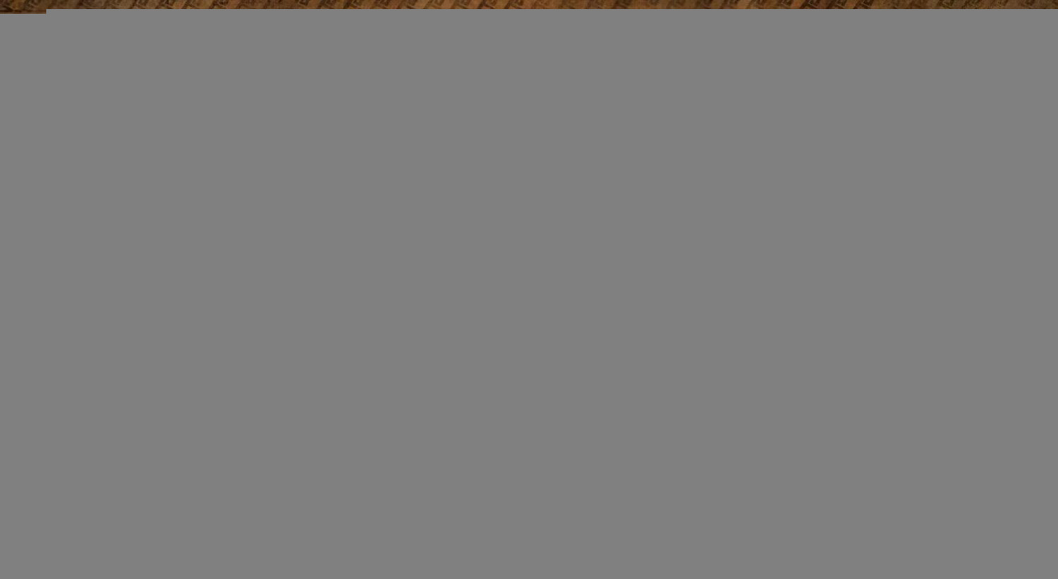 《魔物獵人崛起》曙光後續更新計劃 曙光dlc後續更新時間 《魔物獵人崛起》曙光後續更新計劃 曙光dlc後續更新時間