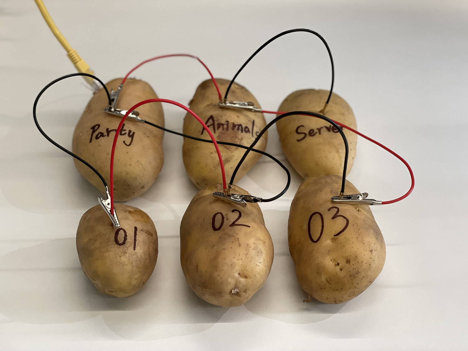 你的NS,能玩尼爾、P5啦!《電馭叛客》出問題QA不接鍋 你的NS,能玩尼爾、P5啦!《電馭叛客》出問題QA不接鍋