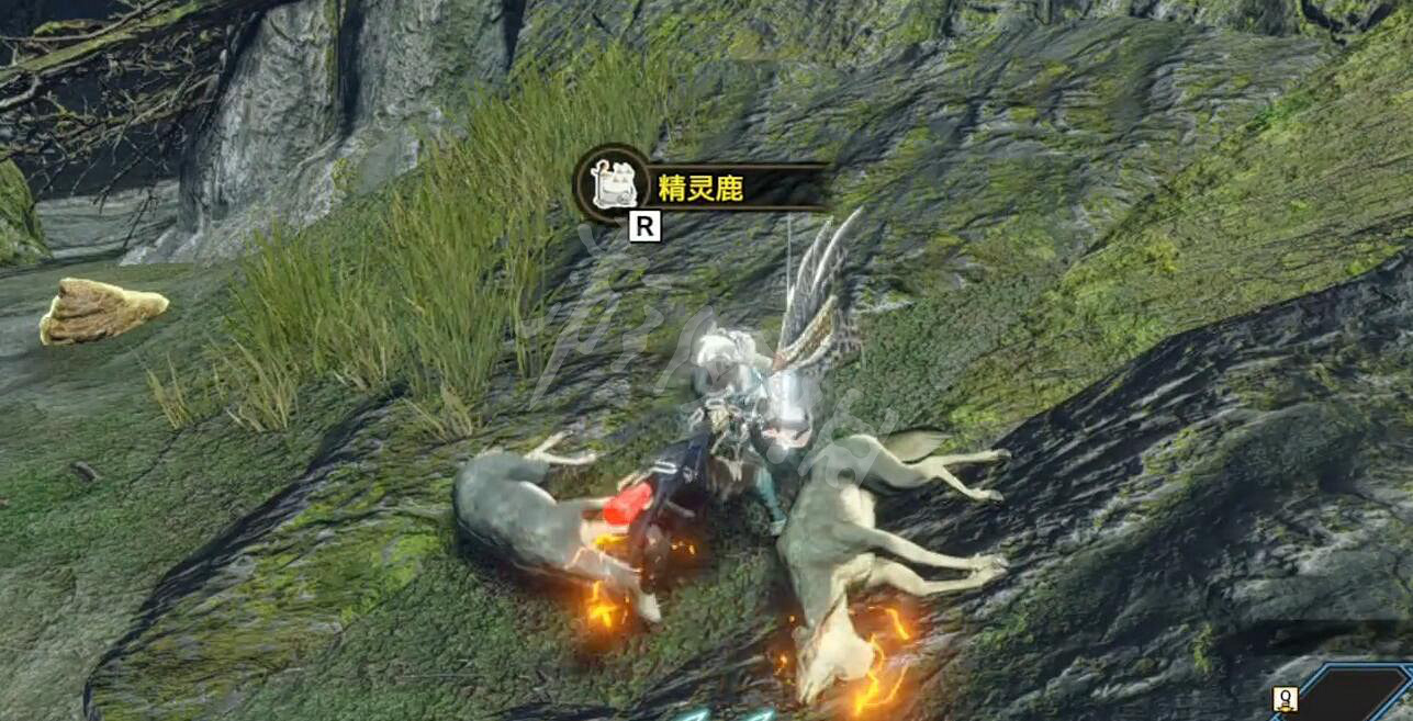 《魔物獵人崛起》曙光極品毛皮怎麽獲得?曙極品毛皮獲得方法 《魔物獵人崛起》曙光極品毛皮怎麽獲得?曙極品毛皮獲得方法