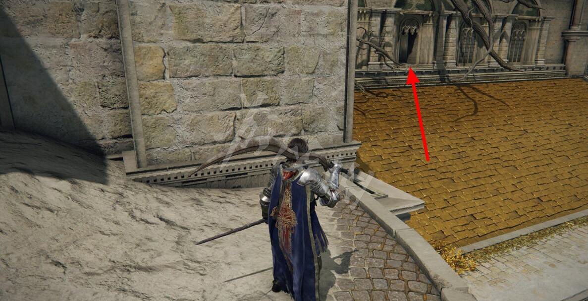 《艾爾登法環》黃金樹弓在哪裡拿？黃金樹弓寶箱位置分享